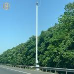 10M Hot Dip Galvanized A36 CCTV Camera Pole