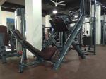 45 degrees Leg Press