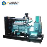 CHP Biogas Generator Price List