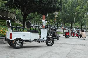 Quality 20Ah Lead Acid Battery 800W Three Wheel Electric Scooter wholesale