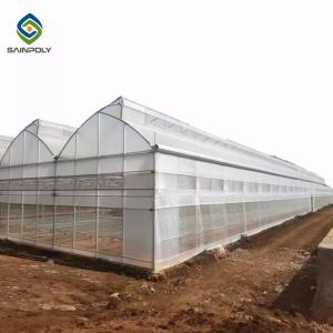Quality Large Double Arch 4.5m Multi Span Greenhouse Stable Structure Layer 0.15 Film wholesale