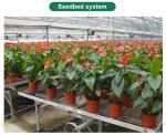 Customized Heating Equipment Blackout Film Greenhouse for Herb and Mushroom