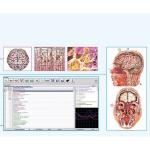 Clinical Metatron NLS FREE Shipping SSCH 4025 Bioresonance Health Scan And