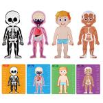 Body Parts Organs Puzzle Human Anatomy Puzzle Toys Boy Girl Anatomy Play Set For