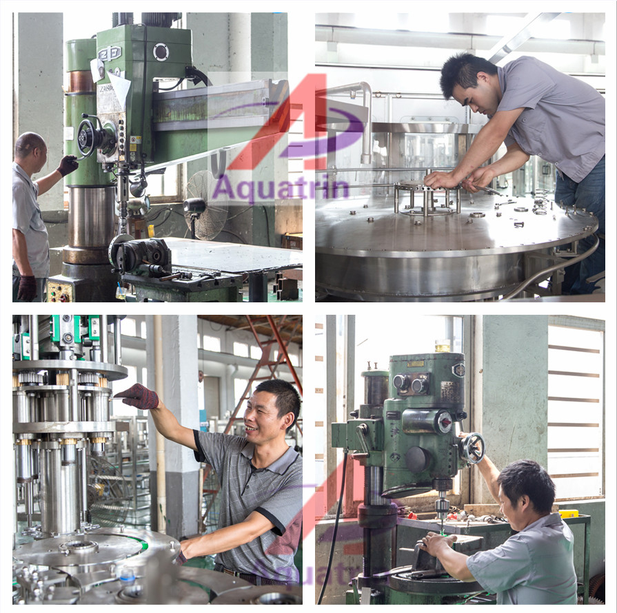 19000BPH 1000ML PET Water Filling Machine plc sgs Rotary