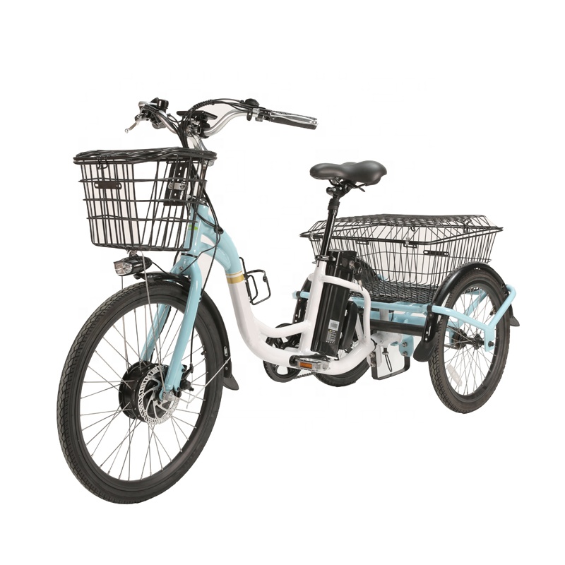 Electric Delivery Cargo Tricycle E-bike 3 Wheel Suspension Disc Brake Aluminum Fork