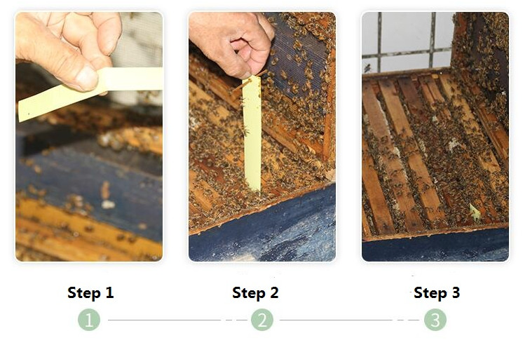 20 Strips Per Bag Wangshi New Manpulike For Bee Varroa Mite