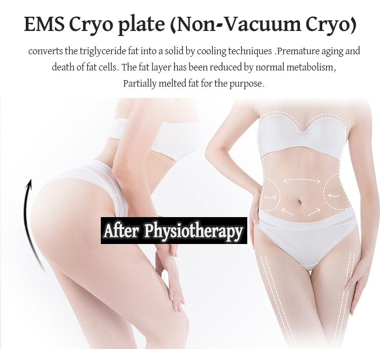 Body Contouring Cellulite Reduction Machine 3.5L Water Tank For Home Use