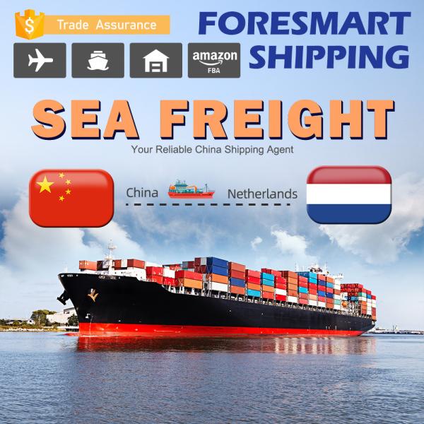 Cheap China To Netherlands International Sea Cargo Services for sale