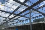 Multi Span Agricultural Large Glass Greenhouse Production Equipment For Tomato