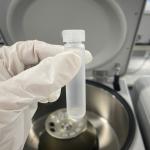 High Speed Medical Supplies 10ml Round Bottom Test Tube with PPCO Material and