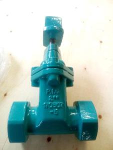 Quality ANSI gate valve threaded ends wholesale