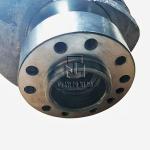 Crankshaft 02929338 02136928 04152646 2929338 2136928 4152646 0292 9338 0213