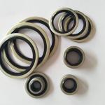 Customized Stainless Steel Rubber NBR Bonded Seal