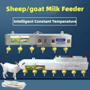 Quality Plastic Livestock Feeding Equipment For Milk Water Medicine Feed wholesale