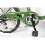 Variable Six Speed Steel City Bikes 20 Inch Frame Ladies Bike OEM DOM