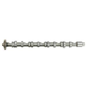 Quality 03L109022D Engine Parts Camshaft for AUDI A5, VW MULTIVAN, SEAT ALTEA (5P1) wholesale