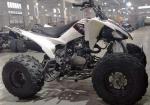 Air Cooled Single Cylinder 2.38 Gal 250cc Racing Atv