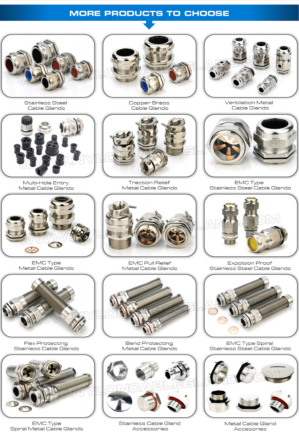 304, 316, 316L Stainless Steel PG Cable Glands IP68 Watertight Metal Compression Glands with Fluoroelastomer Seals