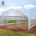 0.20mm Cucumber Plant Pe Film Single Span Greenhouse