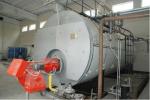 PLC Control Gas Fuel Fired Hot Water Boilers