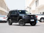 385Nm 185KW 252Ps 4WD 5 Seat 5 Door 2.0T Tank 400 SUV Petrol Fuel New Car