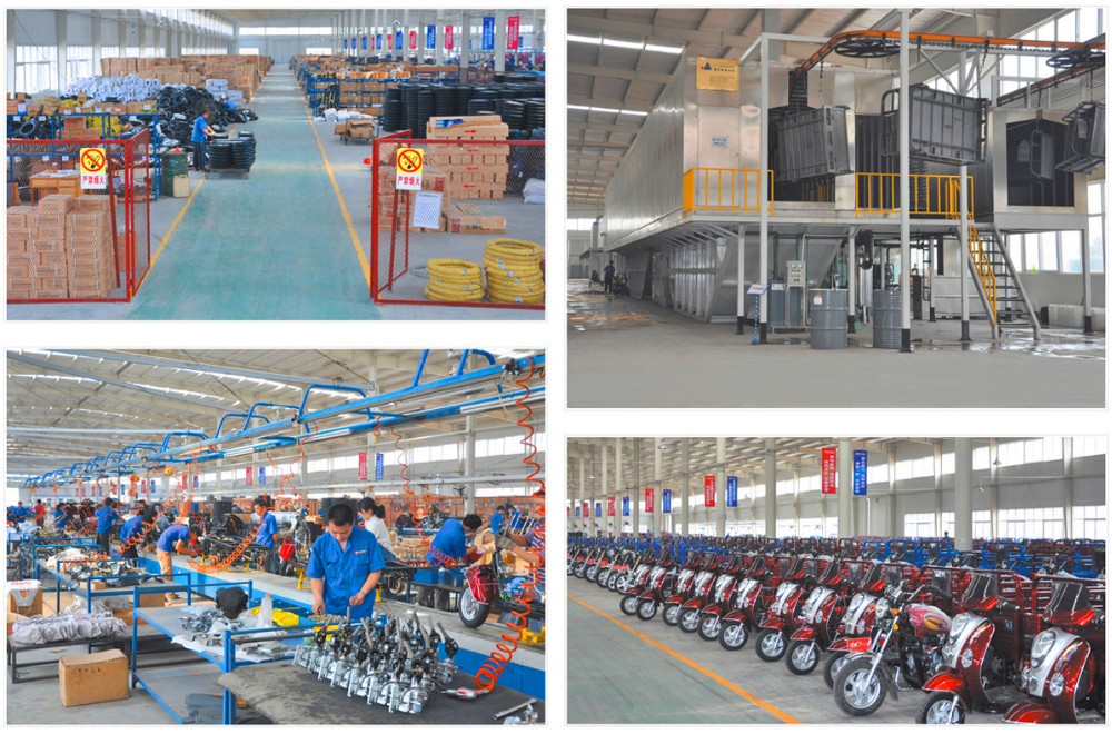 Rear Load Gasoline 1.5t 200w 5 Wheel Motorcycle