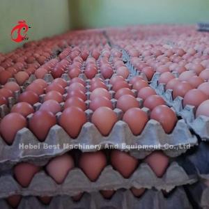 Quality 432cm2 Poultry Farming Cage System , Steel automatic layer cage system Rose wholesale