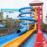 Water Playground Huge Fiberglass Freefall Water Slide Sale For Water Aqua Park