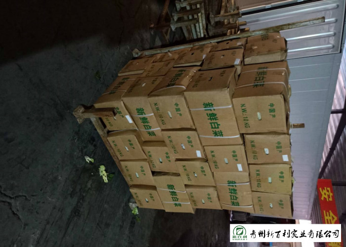 Frozen Vegetable Factory Napa Cabbage Plant Can Lower Blood Pressure