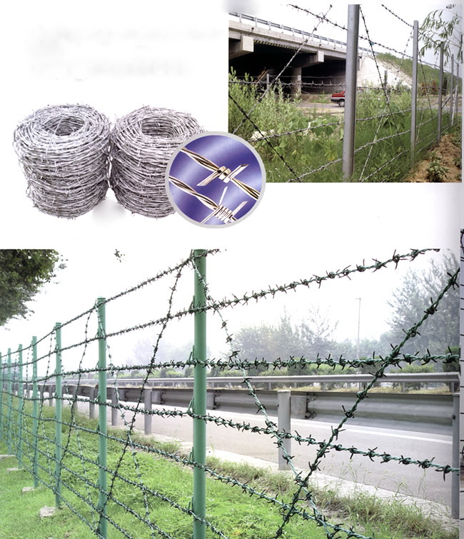 Anti Pressure Sharp Concertina Razor Barbed Wire For Agriculture / Private Homes