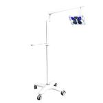 Portable Dental Teeth Whitening Machine 12W Powerful 10 LED Cold Light Floor
