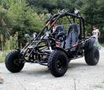 Air Cooled Two Seater Go Kart Electric Start Chain Drive 150cc Large Size