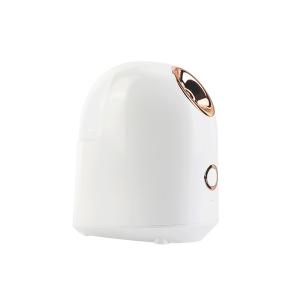 Quality Mini Salon White 280W 50Hz Nano Ionic Facial Steamer wholesale