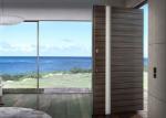 Solid Wood Modern Pivot Front Doors
