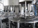 Stainless Steel Automatic Bottle Filling Machine Water Bottle Rinsing Filling