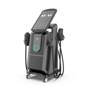 Quality No Downtime Tesla Slim Beauty Fat Loss Ems Shaping Body Lines Making Pelvic Floor Chair Muscle Stimulation Machine wholesale