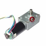Worm DC Gear Motor 12V 300 Rpm Smart Self Lock Vending Machine