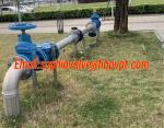 GG25 low pressure cast iron flanged swing check valve blue color