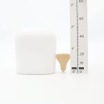 White In The Canal Hearing Aids For Severe Hearing Loss That Look Like Earbuds