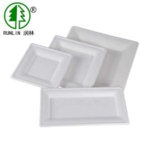 Quality Rectangular Biodegradable Sugarcane Bagasse Plates Environmentally Friendly Natural Fiber wholesale