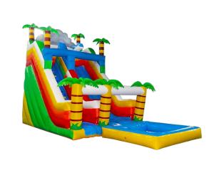 Quality Aldult Outdoor Rental Inflatable Large Water Slides With Bouncy wholesale
