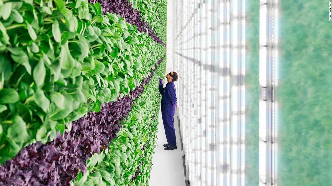 Hydroponics LED Grow Light For Vertical Farm UV IR 10W 20W