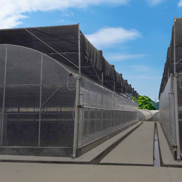 Multi-Span Agricultural Polycarbonate Sheet Greenhouse For Departs Tropical