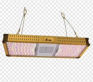 Quality 800W LED Grow Light Tube 120000LM For High Performance Plant Growth wholesale