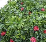 Wooden Frame Artificial Green Wall Indoor 42cm Waterproof