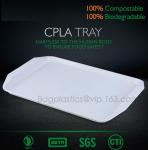 Blister molding biodegradable durable using coffe cup, cpla cup of blister
