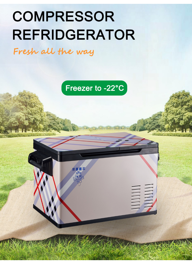 17 Kgs Portable Cosmetic Fridge for RV Trucks DC 12v 220v Household Insulin Refrigerator