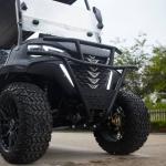 Brand New Lead Batteries EV Golf Cart Street Legal CE Approved Electric Golf