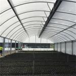 Polyethylene Tunnel 6 Mil Plastic Covering Sawtooth Top Vent Greenhouse